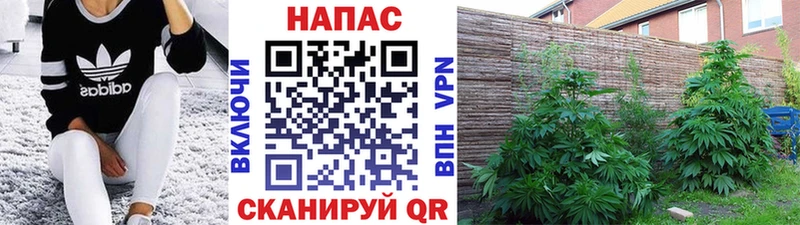 Где купить наркотики Дивногорск ГАШИШ  Alpha PVP  Меф 