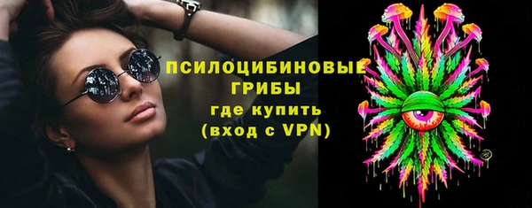 сатива Болохово