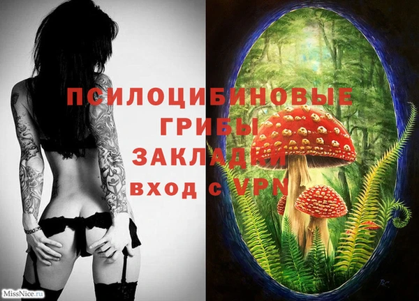 мдпв Богданович