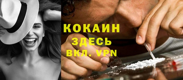 мет Болотное